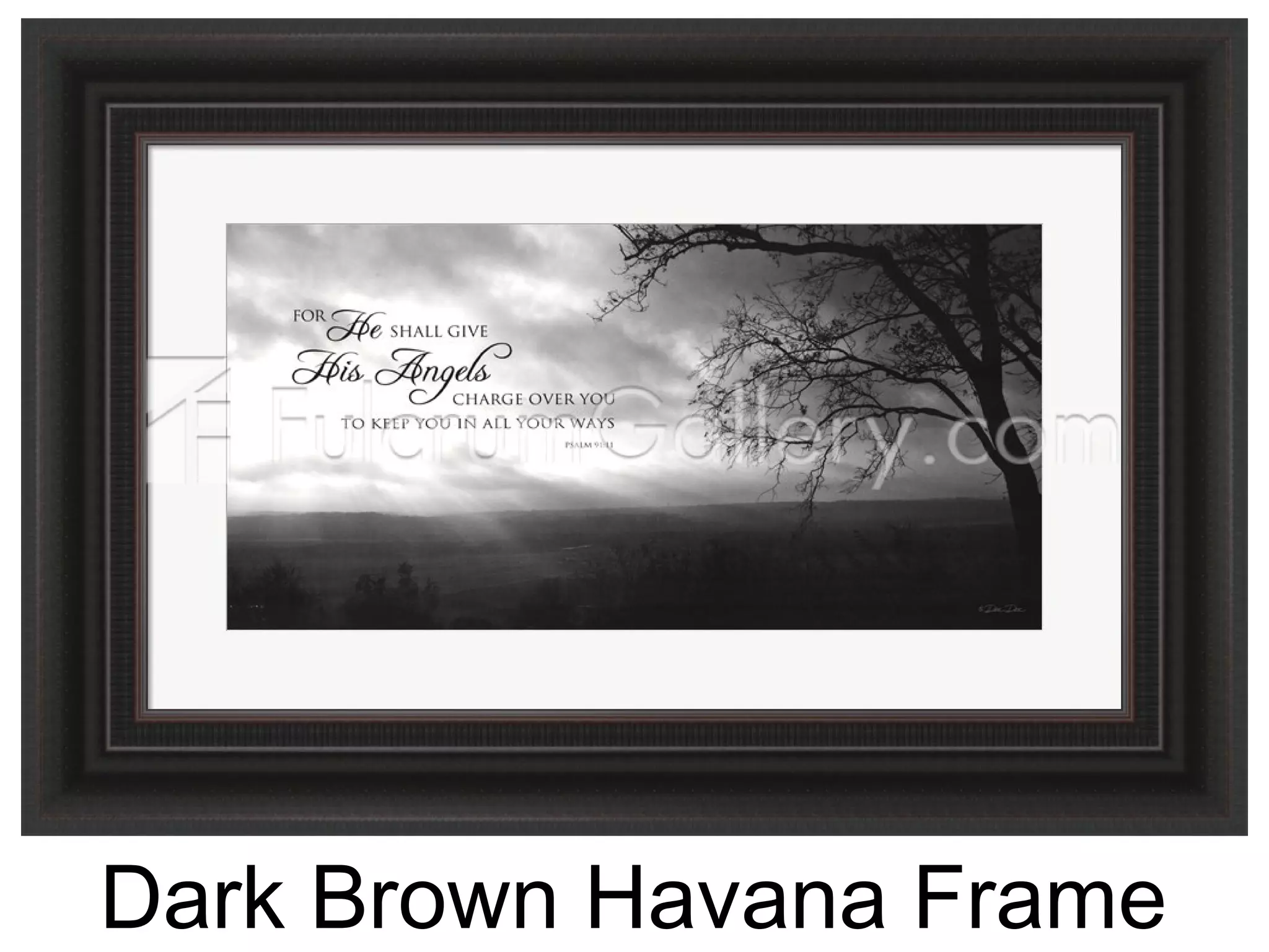 Dark Brown Havana Frame