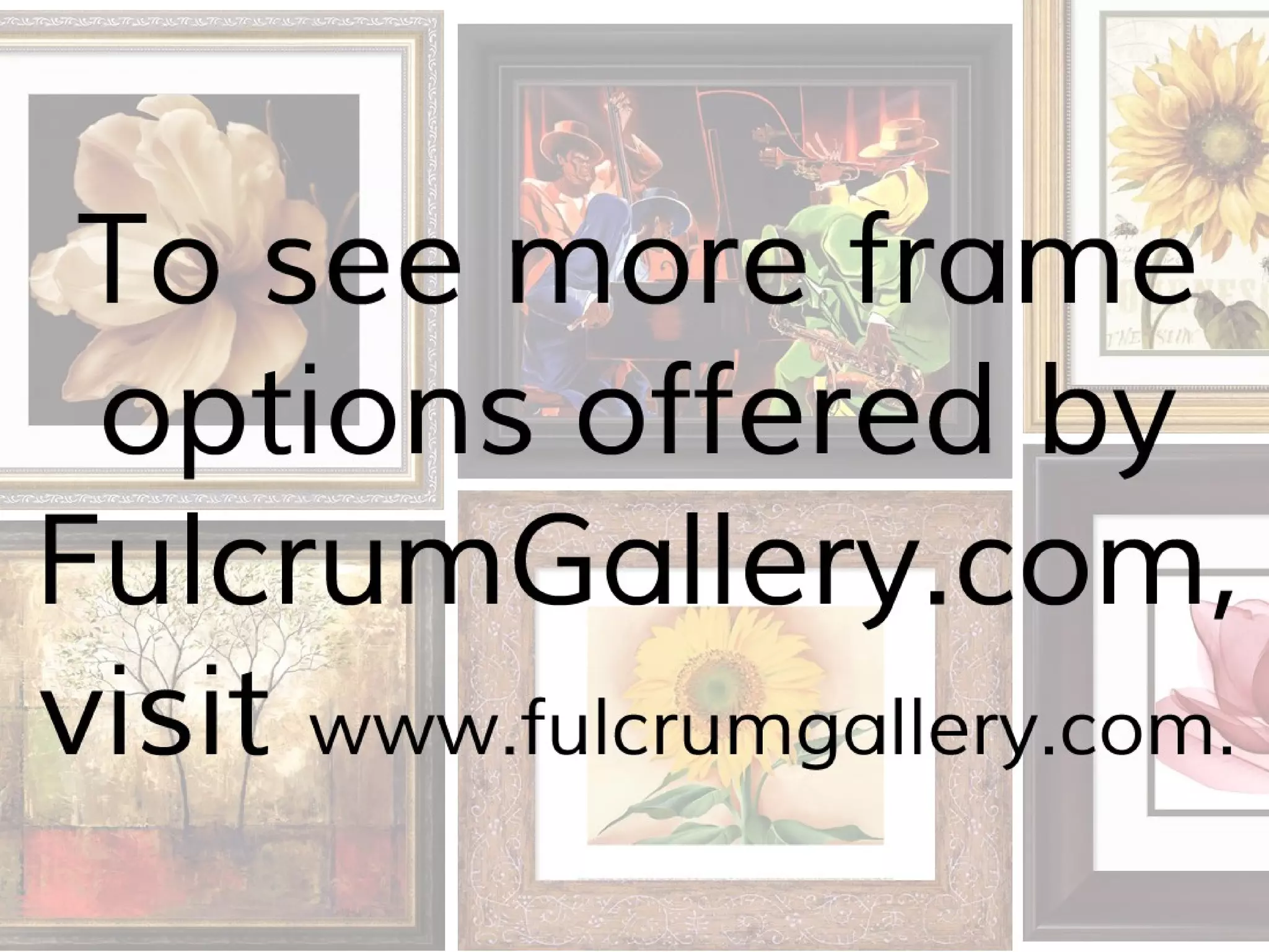 Frames at FulcrumGallery.com