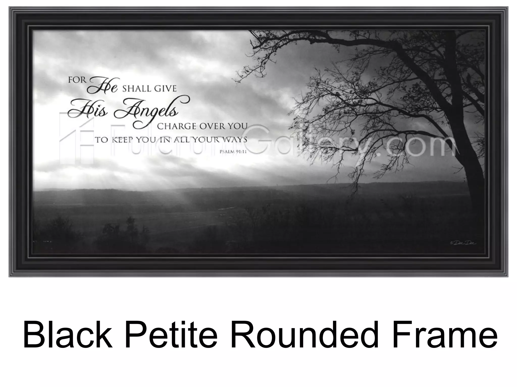 Black Petite Rounded Frame