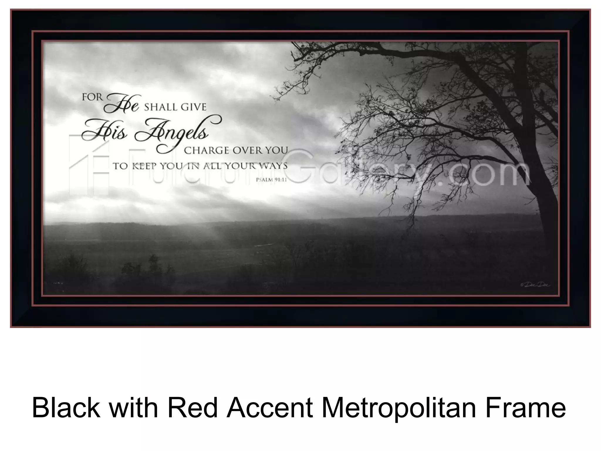 Black with Red Accent Metropolitan Frame