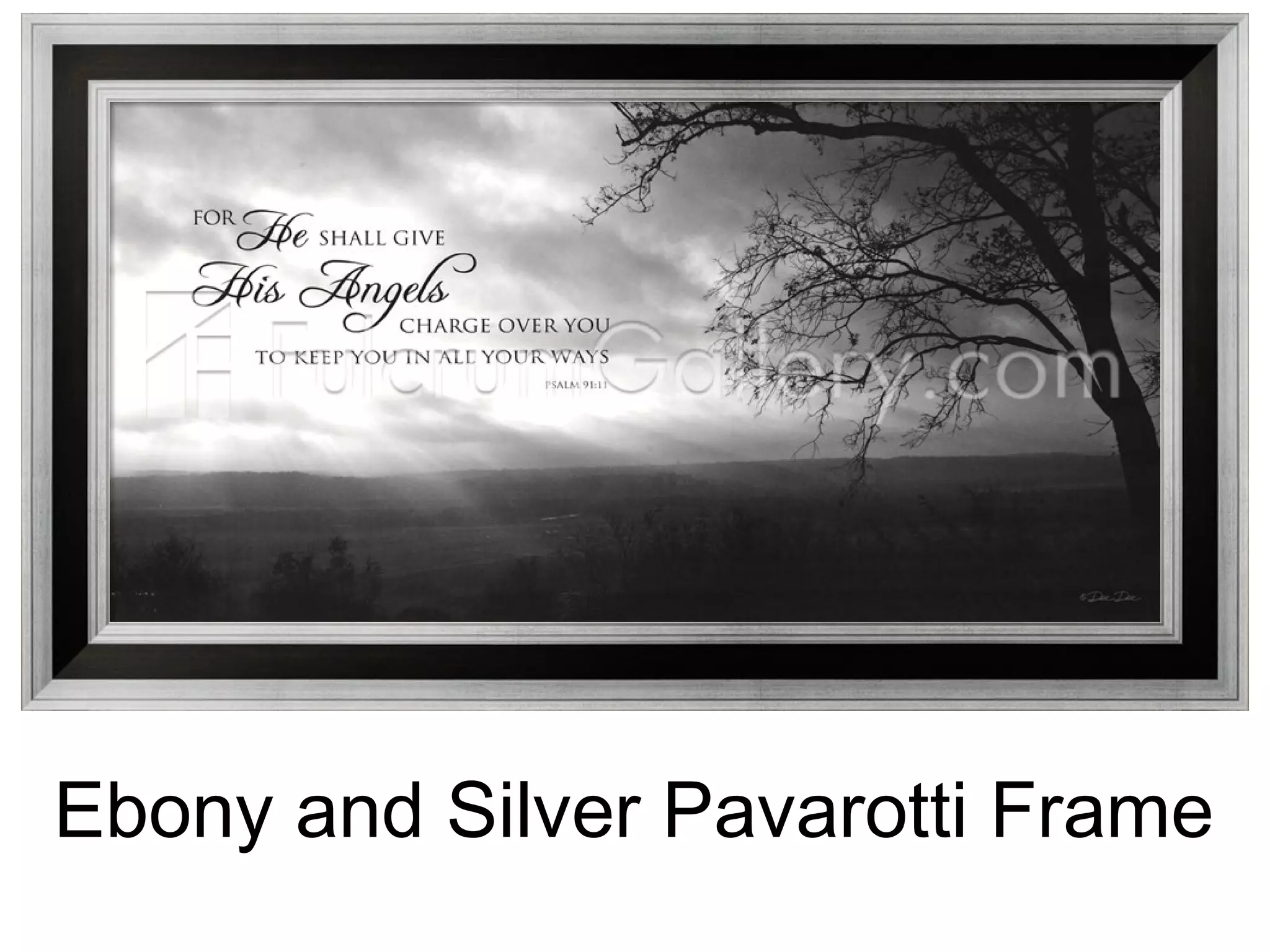 Ebony and Silver Pavarotti Frame