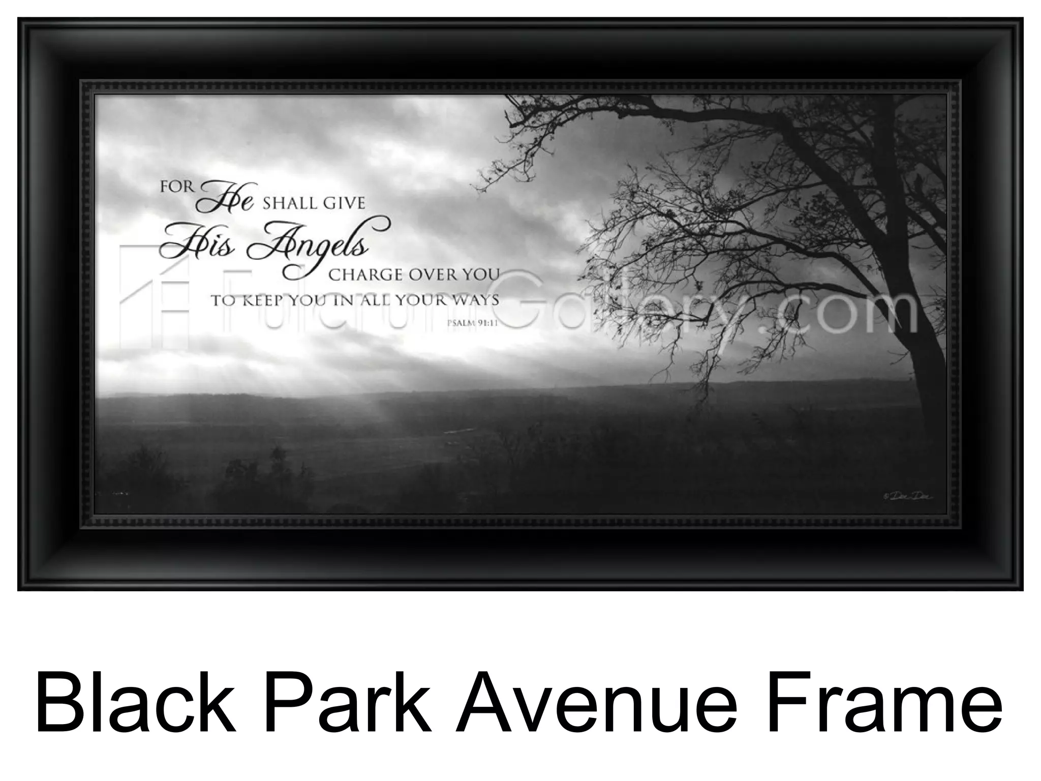 Black Park Avenue Frame