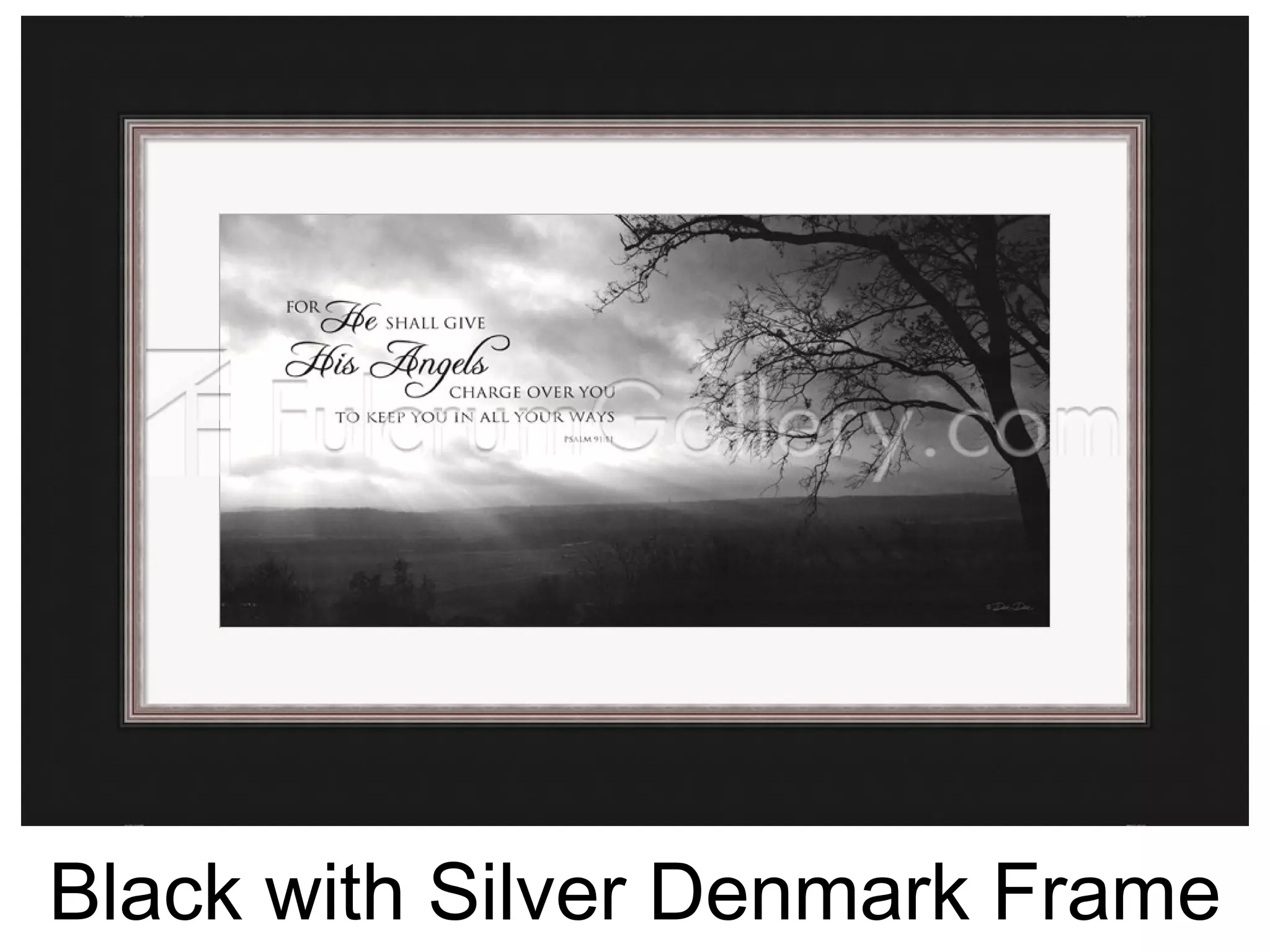 Black with Silver Denmark Frame