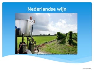 Nederlandse wijn
NRC archieffoto van een Nederlandse wijnboer in het Brabantse Made. Foto Joyce van Belkom
© Ganymedes 2010
 