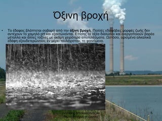 Λευτερης Μπουραζανης 2ο
δημοτικο σχολειο Ξανθης
5
Όξινη βροχή
• Το έδαφος βλάπτεται σοβαρά από την όξινη βροχή. Πολλές εδαφόβιες μορφές ζωής δεν
αντέχουν το χαμηλό pH και εξοντώνονται. Επίσης τα οξέα διαλύουν και ενεργοποιούν βαρέα
μέταλλα και άλλες τοξίνες με ακόμη χειρότερα αποτελέσματα. Ωστόσο, ορισμένα αλκαλικά
εδάφη εξουδετερώνουν, εν μέρει τουλάχιστον, το φαινόμενο.
 