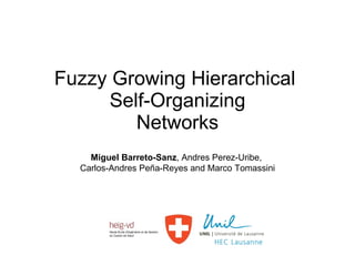 Fuzzy Growing Hierarchical  Self-Organizing Networks Miguel Barreto-Sanz , Andres Perez-Uribe,  Carlos-Andres Peña-Reyes and Marco Tomassini 