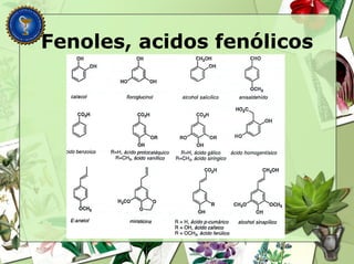 Fenoles, acidos fenólicos
 