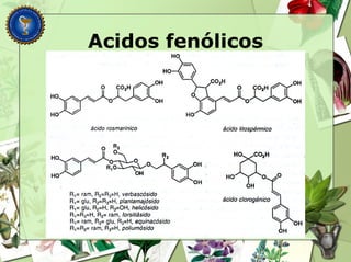 Acidos fenólicos
 