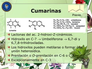 Cumarinas
Lactonas del ac. 2-hidroxi-Z-cinámicos.
Hidroxilo en C-7  Umbeliferona  6,7-di y
6,7,8-trihidroxiladas.
Los hidroxilos pueden metilarse o formar una
unión heterosídica.
Prenilación o O-prenilación en C-6 o C-8.
Excepcionalmente en C-3
R
Prenilo
 