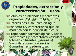 Propiedades, extracción y
caracterización – usos.
Solubles en alcoholes y solventes
orgánicos (C2H5)2O, CH2Cl2, CHCl3.
Heterósidos ± solubles en agua.
Espectro UV característico que se
modifica con la adición de álcalis.
Propiedades farmacológicas y usos:
venotónicos y protectores vasculares,
fotosensibilizantes (psoriasis).
Vasodilatadores coronarios.
Cumarina: antiedematosa,
inmunoestimulante y citotóxica
 