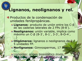Lignanos, neolignanos y rel.
Productos de la condensación de
unidades fenilpropánicas.
Lignanos: producto de unión entre los C-β
de las cadenas laterales de 2 FPs (8-8´).
Neolignanos: unión variable, implica como
máximo un C-β (8-3´, 8-1´, 3-3´, 8-O-4´,
…)
Oligómeros: lignanos o neolignanos de 2-
5 unidades FP.
Norlignanos: Gimnospermas, 17 átomos
C.
Lignoides: origen biosintético mixto,
flavanolignanos, cumarinolignanos, etc.
 