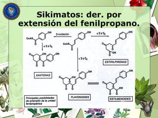 Sikimatos: der. por
extensión del fenilpropano.
 