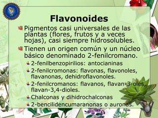 Flavonoides
Pigmentos casi universales de las
plantas (flores, frutos y a veces
hojas), casi siempre hidrosolubles.
Tienen un origen común y un núcleo
básico denominado 2-fenilcromano.
2-fenilbenzopirilios: antocianinas
2-fenilcromonas: flavonas, flavonoles,
flavanonas, dehidroflavonoles.
2-fenilcromanos: flavanos, flavan-3-oles,
flavan-3,4-dioles.
Chalconas y dihidrochalconas
2-bencilidencumaranonas o auronas.
 