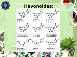 Flavonoides:
 