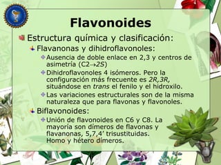 Flavonoides
Estructura química y clasificación:
Flavanonas y dihidroflavonoles:
Ausencia de doble enlace en 2,3 y centros de
asimetría (C22S)
Dihidroflavonoles 4 isómeros. Pero la
configuración más frecuente es 2R,3R,
situándose en trans el fenilo y el hidroxilo.
Las variaciones estructurales son de la misma
naturaleza que para flavonas y flavonoles.
Biflavonoides:
Unión de flavonoides en C6 y C8. La
mayoría son dímeros de flavonas y
flavanonas, 5,7,4’ trisustituidas.
Homo y hétero dímeros.
 