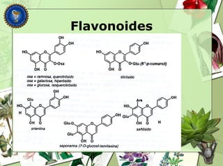 Flavonoides
 