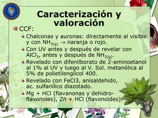 Caracterización y
valoración
CCF:
Chalconas y auronas: directamente al visible
y con NH3(g)  naranja o rojo.
Con UV antes y después de revelar con
AlCl3, antes y después de NH3(g).
Revelado con difenilborato de 2-aminoetanol
al 1% al UV y luego al V. Sol. metanólica al
5% de polietilenglicol 400.
Revelado con FeCl3, anisaldehido,
ac. sulfanílico diazotado.
Mg + HCl (flavanonas y dehidro-
flavonoles), Zn + HCl (flavonoides).
 