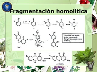 Fragmentación homolítica
 