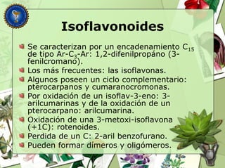 Isoflavonoides
Se caracterizan por un encadenamiento C15
de tipo Ar-C3-Ar: 1,2-difenilpropáno (3-
fenilcromano).
Los más frecuentes: las isoflavonas.
Algunos poseen un ciclo complementario:
pterocarpanos y cumaranocromonas.
Por oxidación de un isoflav-3-eno: 3-
arilcumarinas y de la oxidación de un
pterocarpano: arilcumarina.
Oxidación de una 3-metoxi-isoflavona
(+1C): rotenoides.
Perdida de un C: 2-aril benzofurano.
Pueden formar dímeros y oligómeros.
 