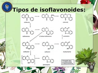Tipos de isoflavonoides:
 