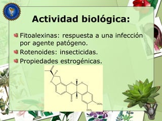 Actividad biológica:
Fitoalexinas: respuesta a una infección
por agente patógeno.
Rotenoides: insecticidas.
Propiedades estrogénicas.
OO
H
H
OCH3
OCH3
O
H
O
 