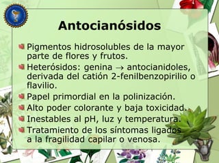 Antocianósidos
Pigmentos hidrosolubles de la mayor
parte de flores y frutos.
Heterósidos: genina  antocianidoles,
derivada del catión 2-fenilbenzopirilio o
flavilio.
Papel primordial en la polinización.
Alto poder colorante y baja toxicidad.
Inestables al pH, luz y temperatura.
Tratamiento de los síntomas ligados
a la fragilidad capilar o venosa.
 