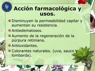 Acción farmacológica y
usos.
Disminuyen la permeabilidad capilar y
aumentan su resistencia.
Antiedematosos.
Aumento de la regeneración de la
púrpura retiniana.
Antioxidantes.
Colorantes naturales. (uva, sauco y
lombarda).
 