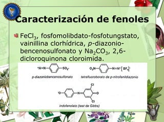 Caracterización de fenoles
FeCl3, fosfomolibdato-fosfotungstato,
vainillina clorhídrica, p-diazonio-
bencenosulfonato y Na2CO3, 2,6-
dicloroquinona cloroimida.
 