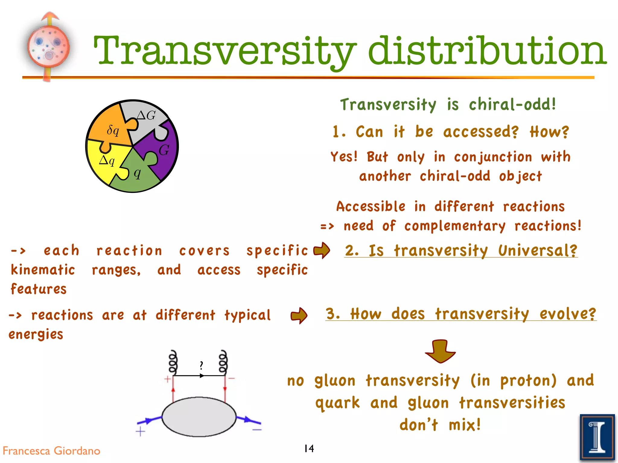 Francesca Giordano 14
G
q
q
q
G
no gluon transversity (in proton) and
quark and gluon transversities
don’t mix!
3. How does transversity evolve?-> reactions are at different typical
energies
Yes! But only in conjunction with
another chiral-odd object
1. Can it be accessed? How?
Transversity is chiral-odd!
Transversity distribution
2. Is transversity Universal?-> each reaction covers specific
kinematic ranges, and access specific
features
?
Accessible in different reactions
=> need of complementary reactions!
 