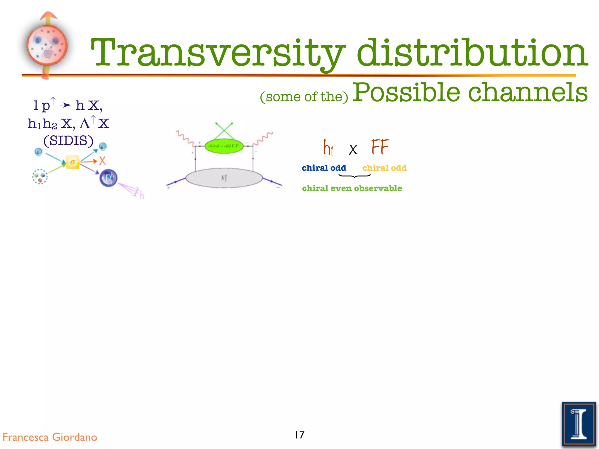 Francesca Giordano 17
chiral oddchiral odd
}
chiral even observable
h1 x FF
Transversity distribution
(some of the) Possible channelsl p↑ ➛ h X,
h1h2 X, Λ↑ X
(SIDIS)
 