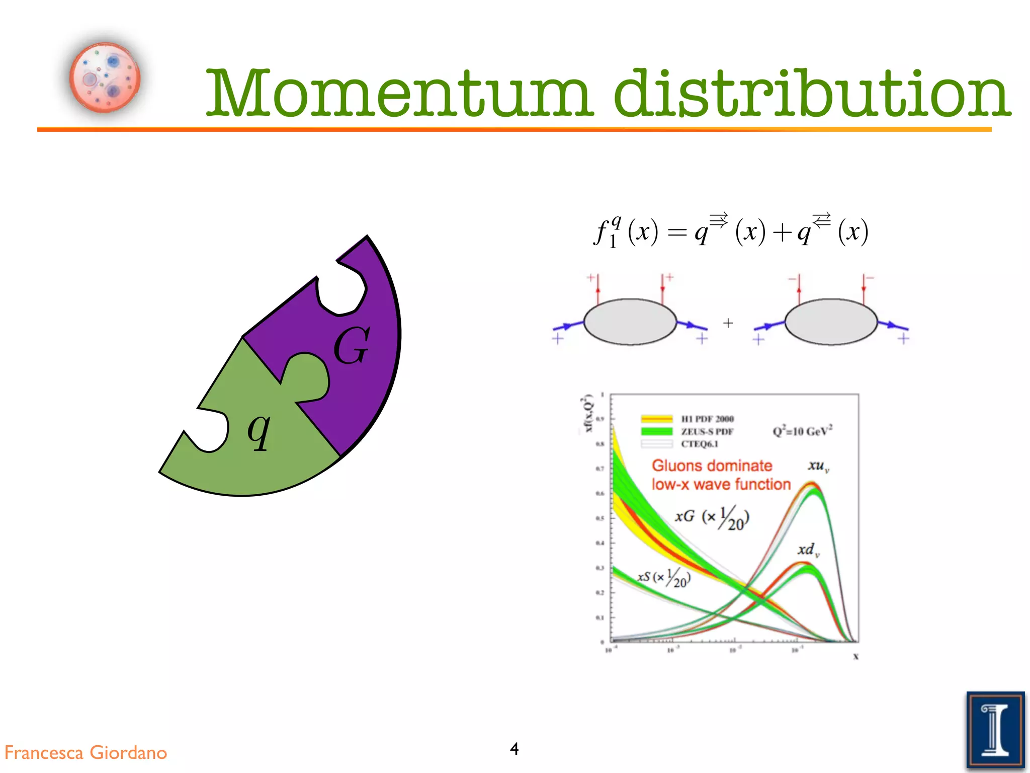 Francesca Giordano 4
G
+
momentum frame, these number densities are related to the helicity distrib
the difference of the probability to ﬁnd a quark polarised along or against t
eigenstate:
gq
1 (x) = q
!)
(x) q
!(
(x).
The momentum distribution measuring the spin average is given by the sum
f q
1 (x) = q
!)
(x)+q
!(
(x).
Transversely polarised nucleons In the basis of transverse spin eigen
transversity distribution hq
1 (x) measures the difference of the number dens
larised quarks aligned along or against the polarisation of the nucleon:
hq
1 (x) = q"*
(x) q"+
(x).
The probabilistic interpretation of these parton distribution functions is illust
Differences between the helicity and transversity distributions are a conseq
motion of the quarks within the nucleon. Euclidean rotations and Lorentz
and thus longitudinally polarised nucleons cannot be converted in transverse
inﬁnite momentum. Only in case of non-relativistic quarks both distributions
Another difference emerges from an analysis of helicity amplitudes. F
scattering amplitudes AΛlΛ0l0 , labelled by the helicities of quarks (l(0) =
(Λ(0) = ±1
2 ⌘ ±), represent the absorption of a quark (l) from a nucleon
0 0
q
Momentum distribution
 