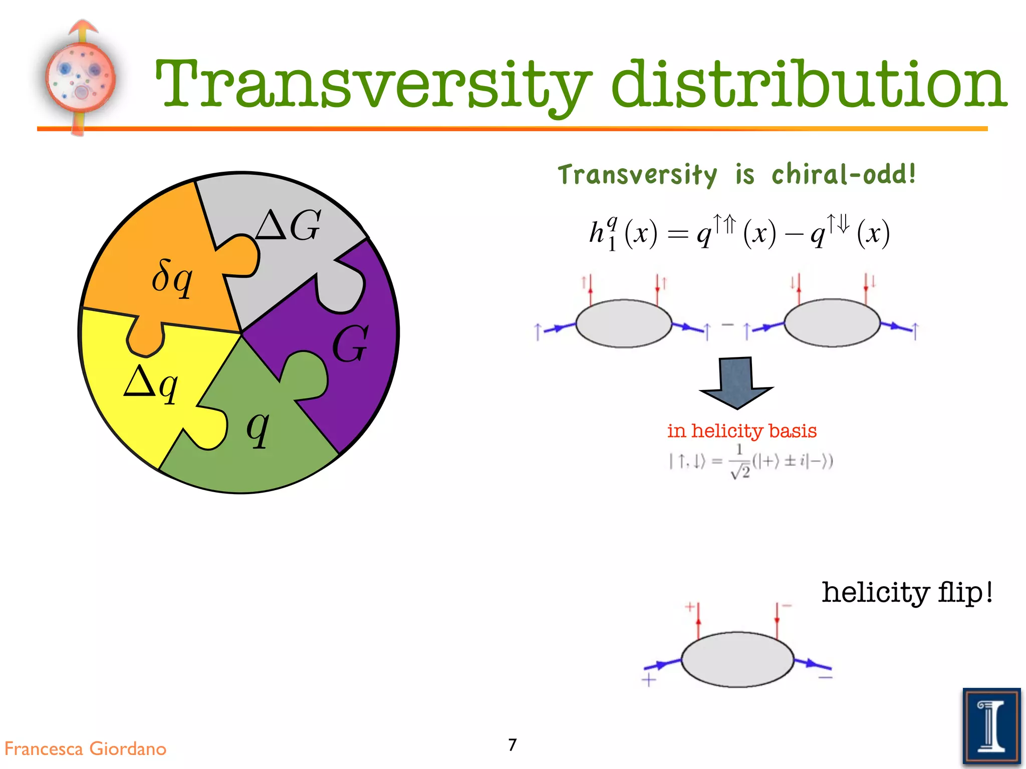 Francesca Giordano
f q
1 (x) = q
!)
(x)+q
!(
(x).
Transversely polarised nucleons In the basis of transverse spin ei
transversity distribution hq
1 (x) measures the difference of the number de
larised quarks aligned along or against the polarisation of the nucleon:
hq
1 (x) = q"*
(x) q"+
(x).
The probabilistic interpretation of these parton distribution functions is ill
Differences between the helicity and transversity distributions are a con
motion of the quarks within the nucleon. Euclidean rotations and Loren
and thus longitudinally polarised nucleons cannot be converted in transve
inﬁnite momentum. Only in case of non-relativistic quarks both distributi
Another difference emerges from an analysis of helicity amplitudes
scattering amplitudes AΛlΛ0l0 , labelled by the helicities of quarks (l(0)
(Λ(0) = ±1
2 ⌘ ±), represent the absorption of a quark (l) from a nucleo
emission of the quark (l0) by the nucleon (Λ0). Due to conservation of
parity, AΛlΛ0l0 = A Λ l Λ0 l0 and time reversal there are exactly three i
A++,++, A+ ,+ A+ , +.
The optical theorem relates the forward quark-nucleon scattering amplitu7
in helicity basis
helicity ﬂip!
G
q
q
q
G
Transversity distribution
Transversity is chiral-odd!
 