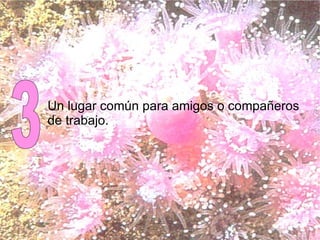 Un lugar común para amigos o compañeros  de trabajo. 3 
