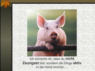 Ich wünsche dir, dass du nicht
Zaungast bist, sondern die Dinge aktiv
in die Hand nimmst.....

 