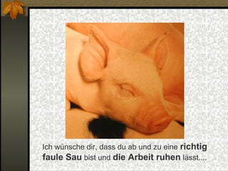 Ich wünsche dir, dass du ab und zu eine richtig
faule Sau bist und die Arbeit ruhen lässt....

 