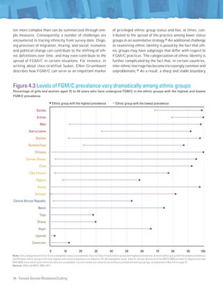 Female Genital Mutilation/Cutting: A statistical overview and ...