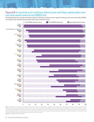 Female Genital Mutilation/Cutting: A statistical overview and ...