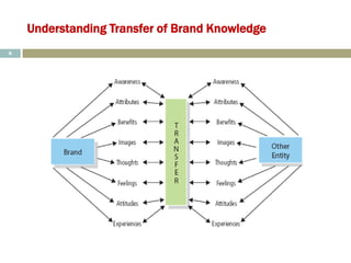 Understanding Transfer of Brand Knowledge
6
 