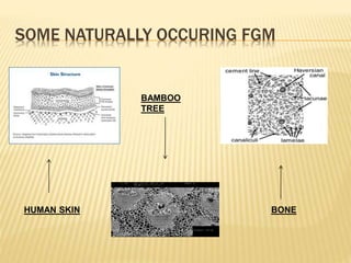 SOME NATURALLY OCCURING FGM
HUMAN SKIN BONE
BAMBOO
TREE
 