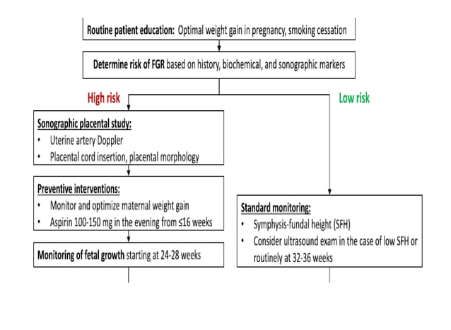 Effects of Intrauterine Growth Restriction (IUGR) on Growth and Body ...