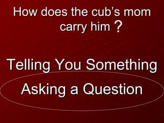 Questions - Powerpoint | PPT