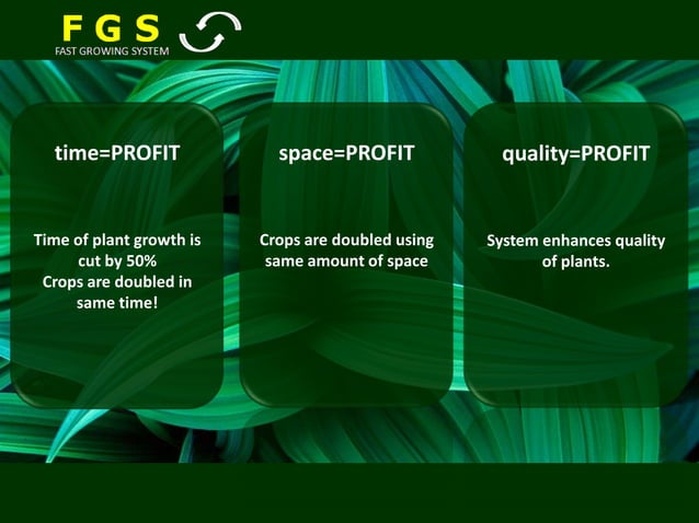FAST GROWING SYSTEM | PPSX