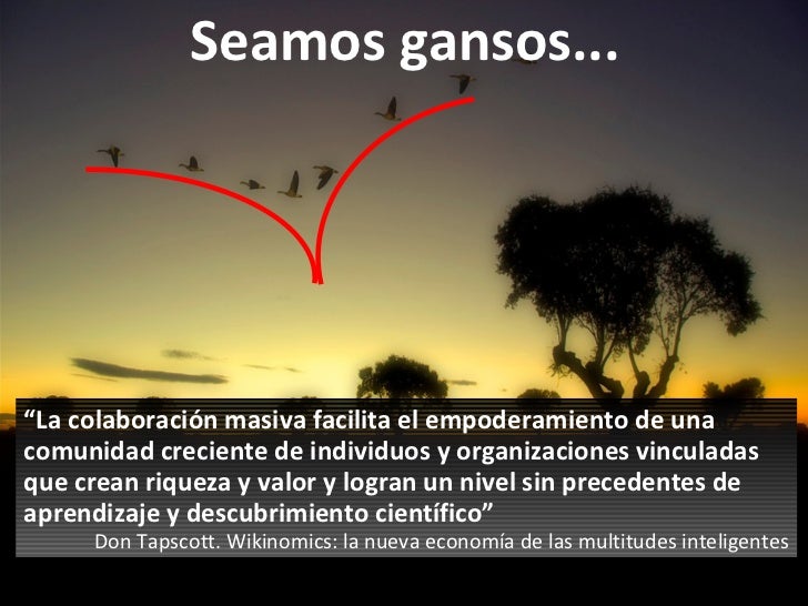 Resultado de imagen de gansos la colaboración del grupo