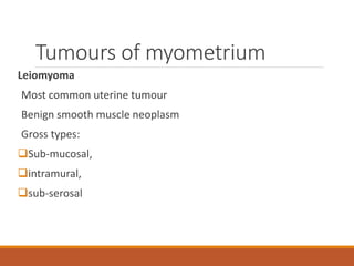 Tumours of myometrium
Leiomyoma
Most common uterine tumour
Benign smooth muscle neoplasm
Gross types:
Sub-mucosal,
intramural,
sub-serosal
 