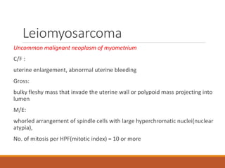 Leiomyosarcoma
Uncommon malignant neoplasm of myometrium
C/F :
uterine enlargement, abnormal uterine bleeding
Gross:
bulky fleshy mass that invade the uterine wall or polypoid mass projecting into
lumen
M/E:
whorled arrangement of spindle cells with large hyperchromatic nuclei(nuclear
atypia),
No. of mitosis per HPF(mitotic index) = 10 or more
 