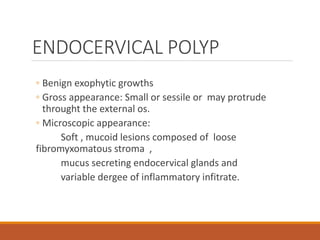 ENDOCERVICAL POLYP
◦ Benign exophytic growths
◦ Gross appearance: Small or sessile or may protrude
throught the external os.
◦ Microscopic appearance:
Soft , mucoid lesions composed of loose
fibromyxomatous stroma ,
mucus secreting endocervical glands and
variable dergee of inflammatory infitrate.
 