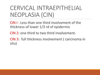 CERVICAL INTRAEPITHELIAL
NEOPLASIA (CIN)
CIN I : Less than one third involvement of the
thickness of lower 1/3 rd of epidermis
CIN 2: one third to two third involvement.
CIN 3: full thickness involvement ( carcinoma in
situ)
 