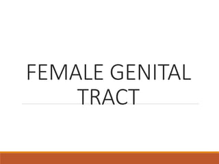 FEMALE GENITAL
TRACT
 