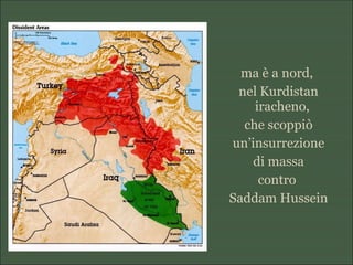 ma è a nord,
nel Kurdistan
iracheno,
che scoppiò
un’insurrezione
di massa
contro
Saddam Hussein
 