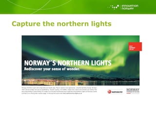 Capture the northern lights 
